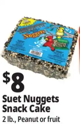 Ocean State Job Lot Snack Cake 2 lb., Peanut or fruit offer