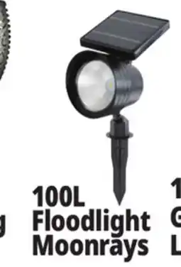 Ocean State Job Lot 100L Floodlight Moonrays offer