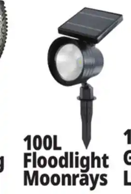 Ocean State Job Lot 100L Floodlight Moonrays offer