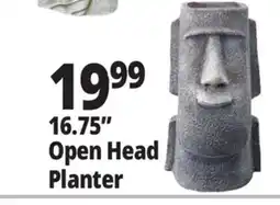 Ocean State Job Lot 16.75 Open Head Planter offer