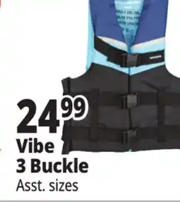 Ocean State Job Lot Vibe 3 Buckle offer