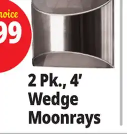 Ocean State Job Lot 2 Pk., 4' Wedge Moonrays offer