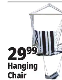 Ocean State Job Lot Hanging Chair offer