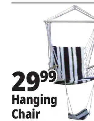 Ocean State Job Lot Hanging Chair offer