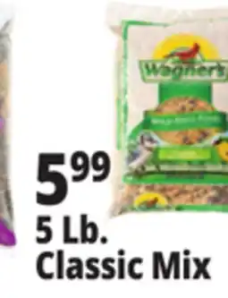 Ocean State Job Lot Wagner's Classic Wild Bird Food 5 lbs offer