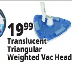 Ocean State Job Lot SwimWorks Deluxe Weighted Triangular Vacuum Head offer
