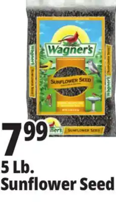 Ocean State Job Lot Wagner's Black Oil Sunflower Seed Wild Bird Food 5 lbs offer