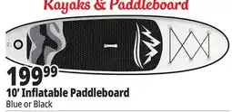 Ocean State Job Lot 10' Inflatable Paddle Board offer