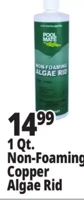 Ocean State Job Lot Pool Mate Non-Foaming Algae Rid 1 Qt offer
