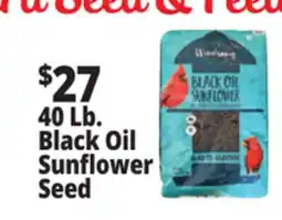 Ocean State Job Lot Black Oil Sunflower Seeds 40 lbs offer