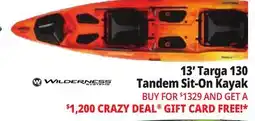 Ocean State Job Lot Wilderness Systems Targa 130T Recreational Tandem Kayak Mango offer
