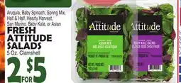 Bravo Supermarkets FRESH ATTITUDE SALADS offer