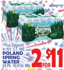 Bravo Supermarkets POLAND SPRING WATER offer