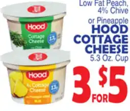Bravo Supermarkets HOOD COTTAGE CHEESE offer