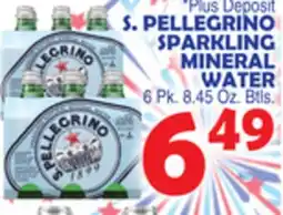 Bravo Supermarkets S. PELLEGRINO SPARKLING MINERAL WATER offer