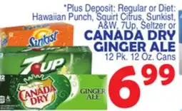 Bravo Supermarkets CANADA DRY GINGER ALE offer