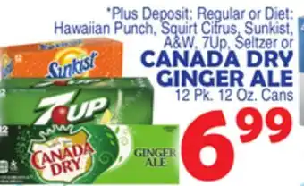 Bravo Supermarkets CANADA DRY GINGER ALE offer