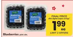 ACME Blueberries offer