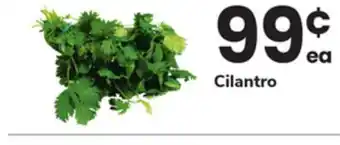 ACME Cilantro offer