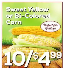 DeCicco & Sons Sweet Yellow or Bi-Colored Corn offer