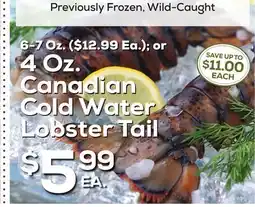 DeCicco & Sons Canadian Cold Water Lobster Tail 4 Oz offer