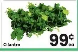 Safeway Cilantro offer
