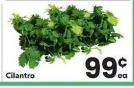 Safeway Cilantro offer