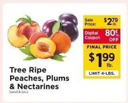 ShopRite Tree Ripe Peaches, Plums & Nectarines offer