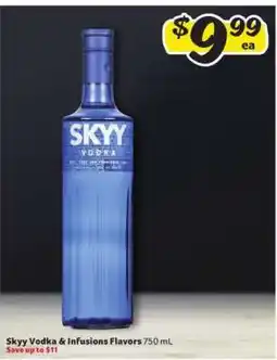 Winn Dixie Skyy Vodka & Infusions Flavors offer