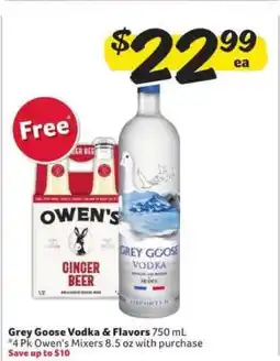 Winn Dixie Grey Goose Vodka & Flavors offer