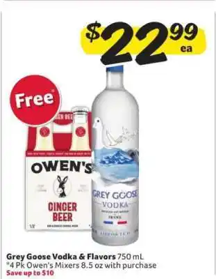 Winn Dixie Grey Goose Vodka & Flavors offer