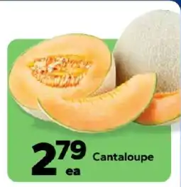 Save a Lot Cantaloupe offer