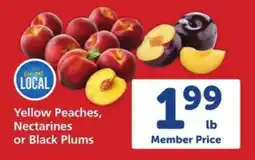 Safeway Yellow Peaches, Nectarines or Black Plums offer