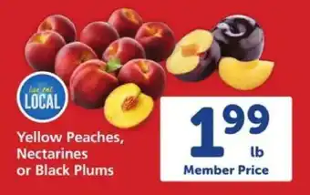 Safeway Yellow Peaches, Nectarines or Black Plums offer