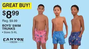 Dunham's Sports CANYON BOYS' SWIM TRUNKS offer