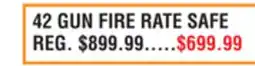 Dunham's Sports 42 GUN FIRE RATE SAFE offer