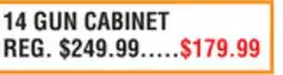 Dunham's Sports 14 GUN CABINET offer