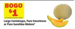 Meijer Large Cantaloupe, Pure Sweetness or Pure Sunshine Melons offer