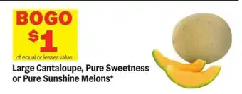 Meijer Large Cantaloupe, Pure Sweetness or Pure Sunshine Melons offer