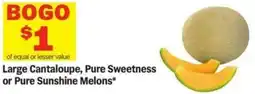Meijer Large Cantaloupe, Pure Sweetness or Pure Sunshine Melons offer