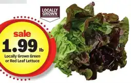 Meijer Locally Grown Green or Red Leaf Lettuce offer