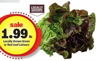 Meijer Locally Grown Green or Red Leaf Lettuce offer