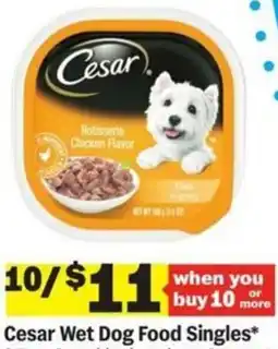 Meijer Cesar Wet Dog Food Singles offer