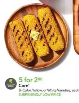 Publix Bi color yellow or white varieties offer
