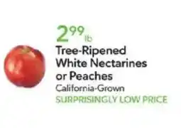 Publix Tree-ripened white nectarines or peaches offer