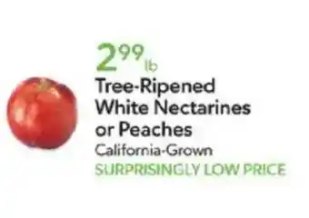 Publix Tree-ripened white nectarines or peaches offer