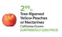 Publix Tree-ripened yellow peaches or nectarines offer