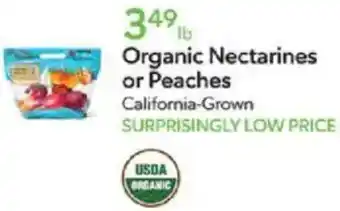 Publix Organic nectarines or peaches offer