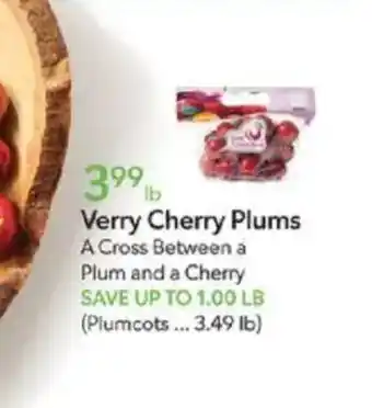 Publix Verry cherry plums offer