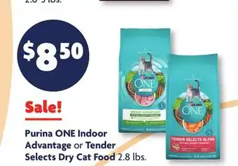 Family Dollar Purina ONE Indoor Advantage or Tender Selects Dry Cat Food offer
